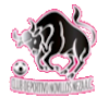 https://img.asiajpg.com/img/football/team/97c3ef30cac48cadff97605e387feefa.png